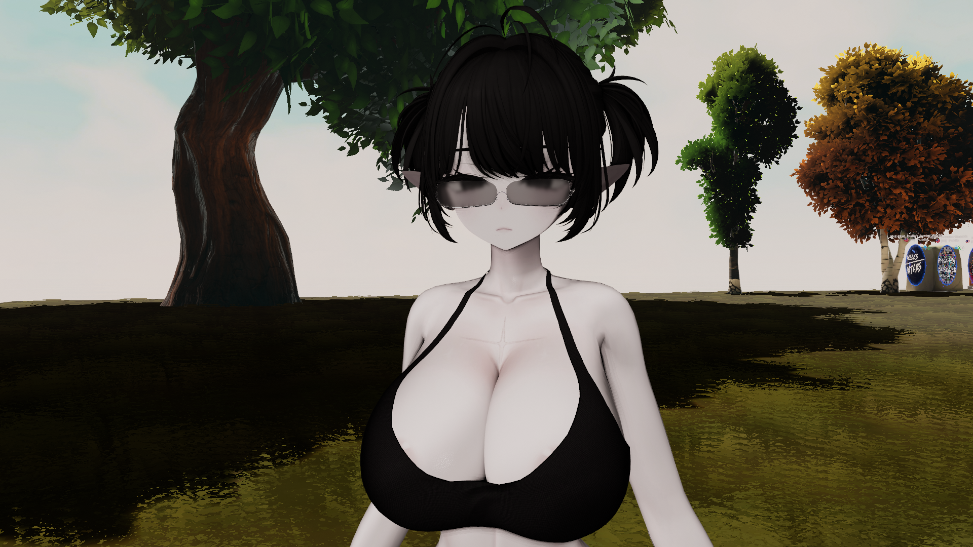VRChat_2026-08-30_00-12-15.535_1920x1080.png