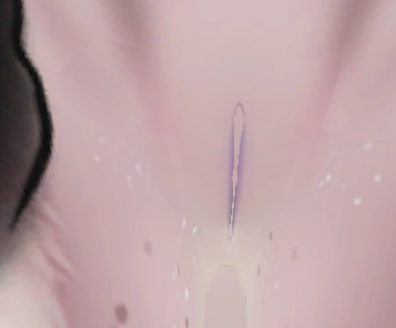 Screenshot 2026-09-02 184252.png