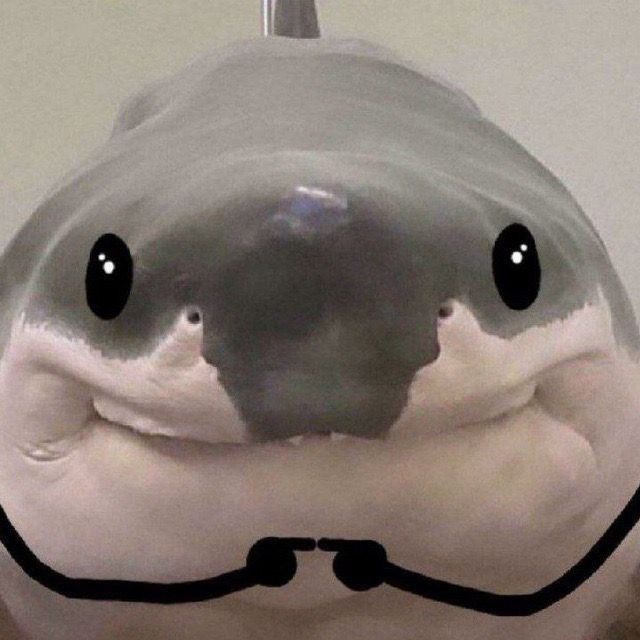 image.jpeg