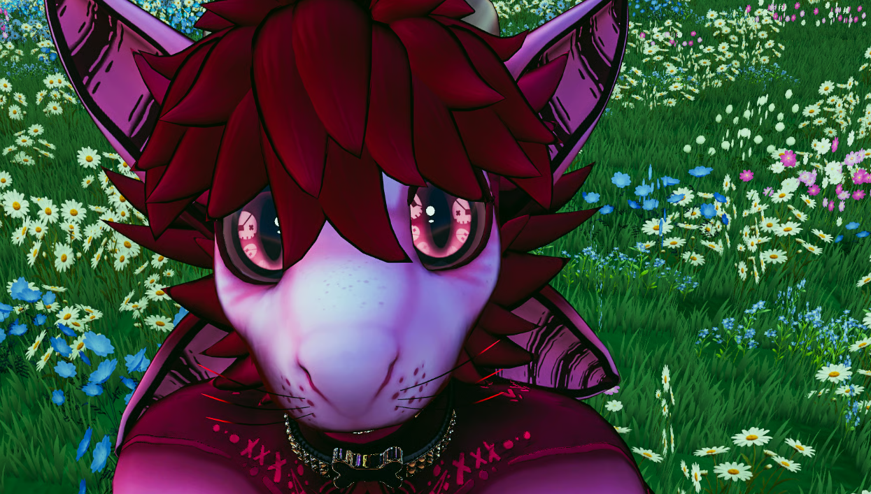 image5.png