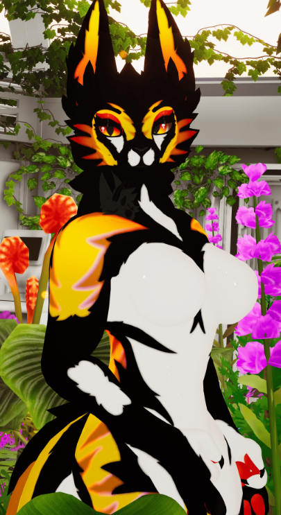 yellowjex.png