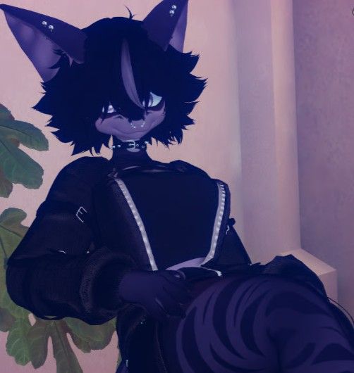 image.jpeg