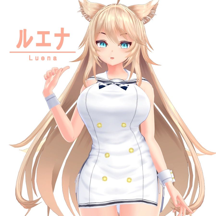 LUENA_ver1.00.jpg
