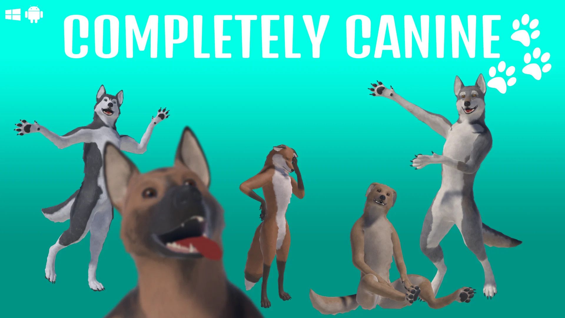 kuva.jpeg