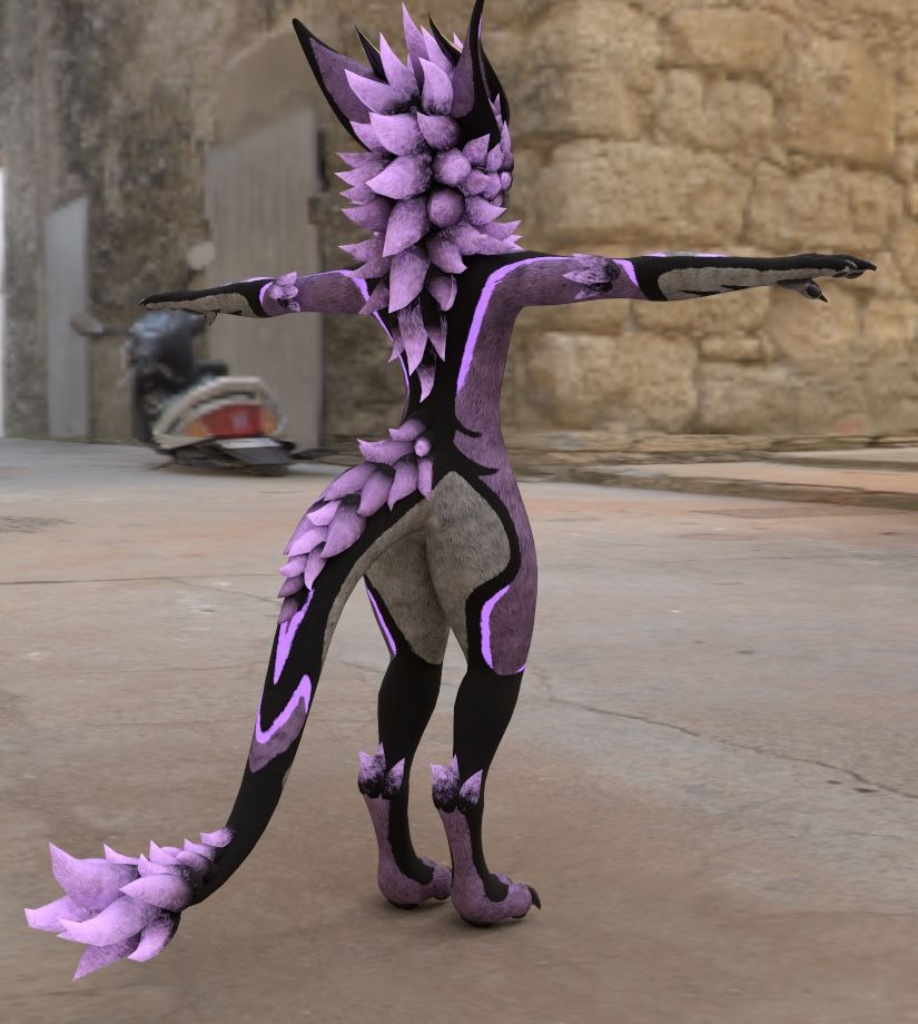image.jpeg