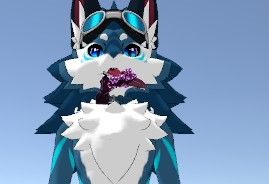 image.jpeg