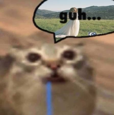 image.jpeg