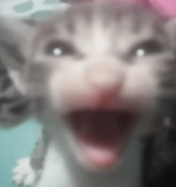 Screenshot 2026-10-01 093748.png