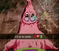 image.jpeg