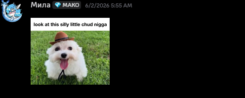 Screenshot_2026-10-03_025659.png