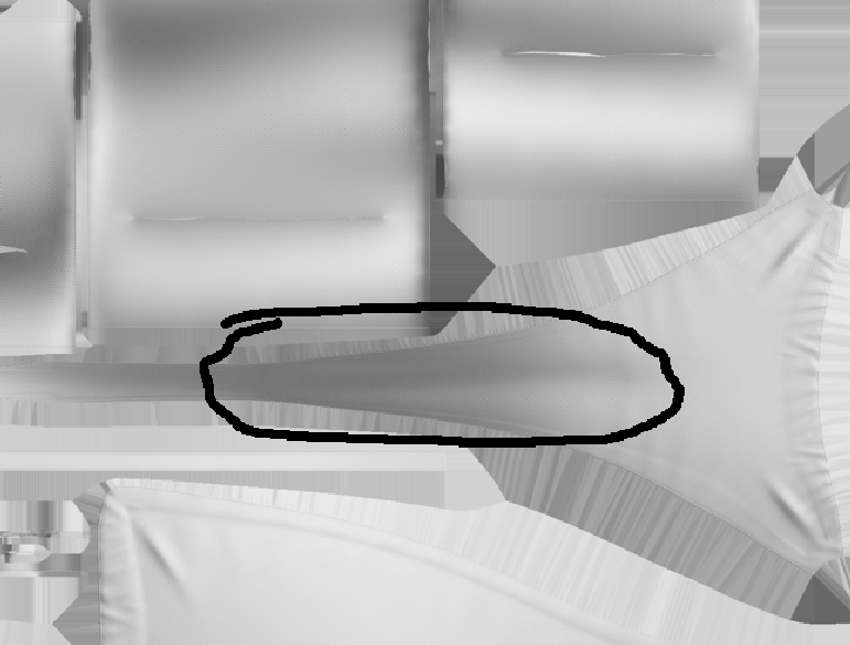 bikinicameltoe.png
