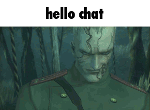 hello-chat-volgin.gif