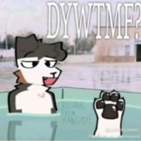 PolobyDrew