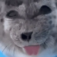 fluffymilk