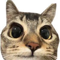 sneakybriki