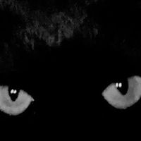 blackocto72