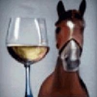 horse