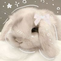 Bunny girl