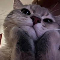 gbfnbgfnxdxz