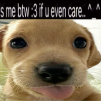 sasl39