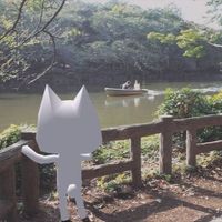 Shadow_WizardAP