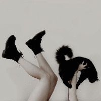 Purrblondde