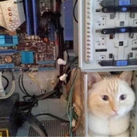 CatalyticKat