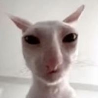 hopelessdrunklol