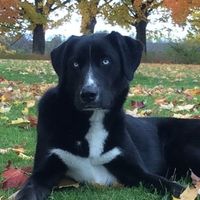 mal_formed