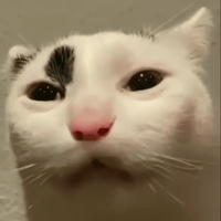 Katter