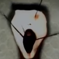 [NONE]