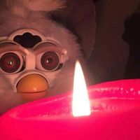 CircusLetterman2