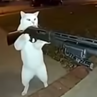 rekkuxz
