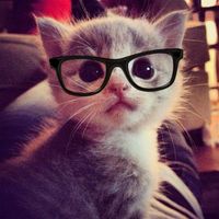 fewfwefewf