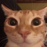 cursed.unwell