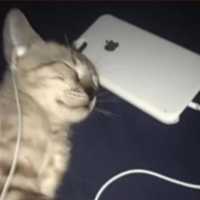 Mawwwww