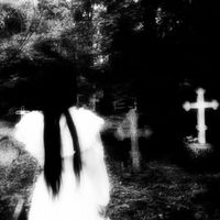 lostveils