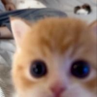 eyesarefullofyou