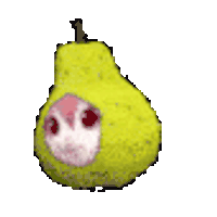 LuceyWucey