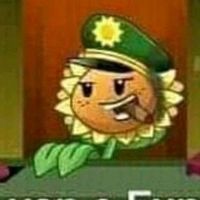 kowabunga