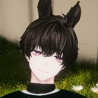 Binzvrc