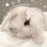 nanabunni