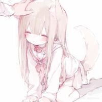 meimeidapup