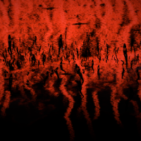theSonderfall