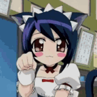 im a cat