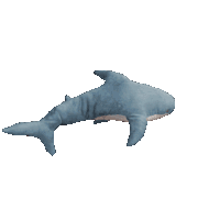 saeraphinx