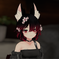 MrKuto