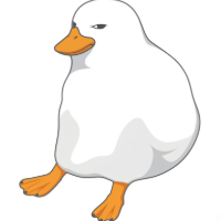 Duckuu