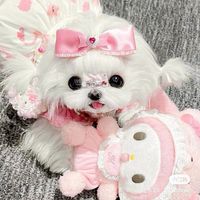 luv.mochiii