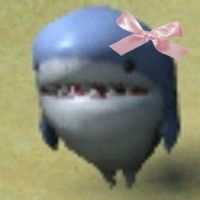 BeppinDOJO